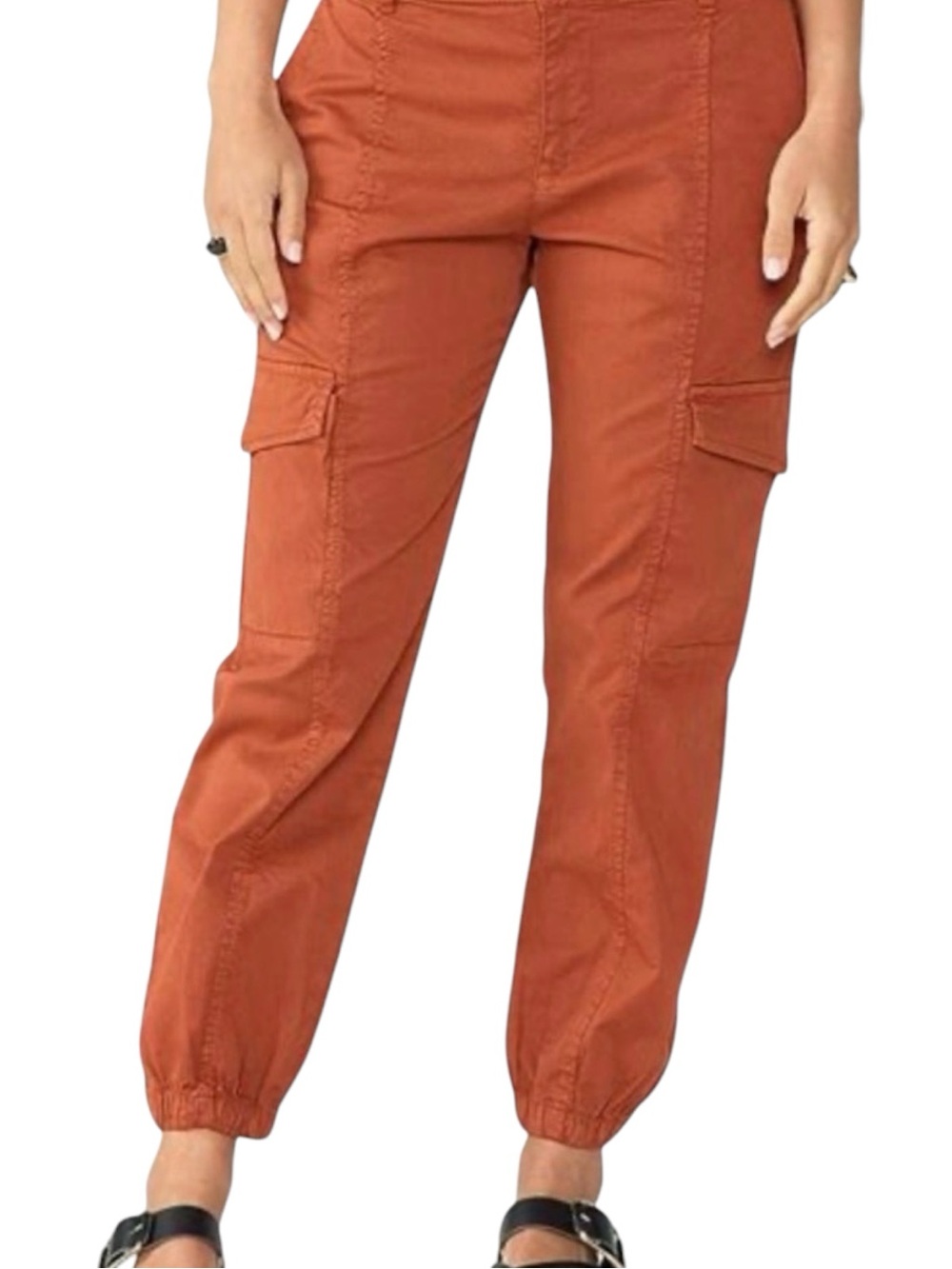 Sanctuary Rebel Jogger Pants NWOT Size 14W Desert Rust Cargo Utility Pants
